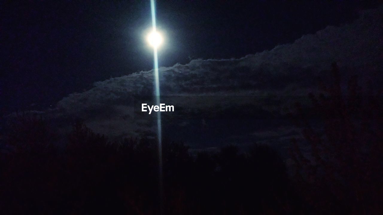 LOW ANGLE VIEW OF TREES AT NIGHT