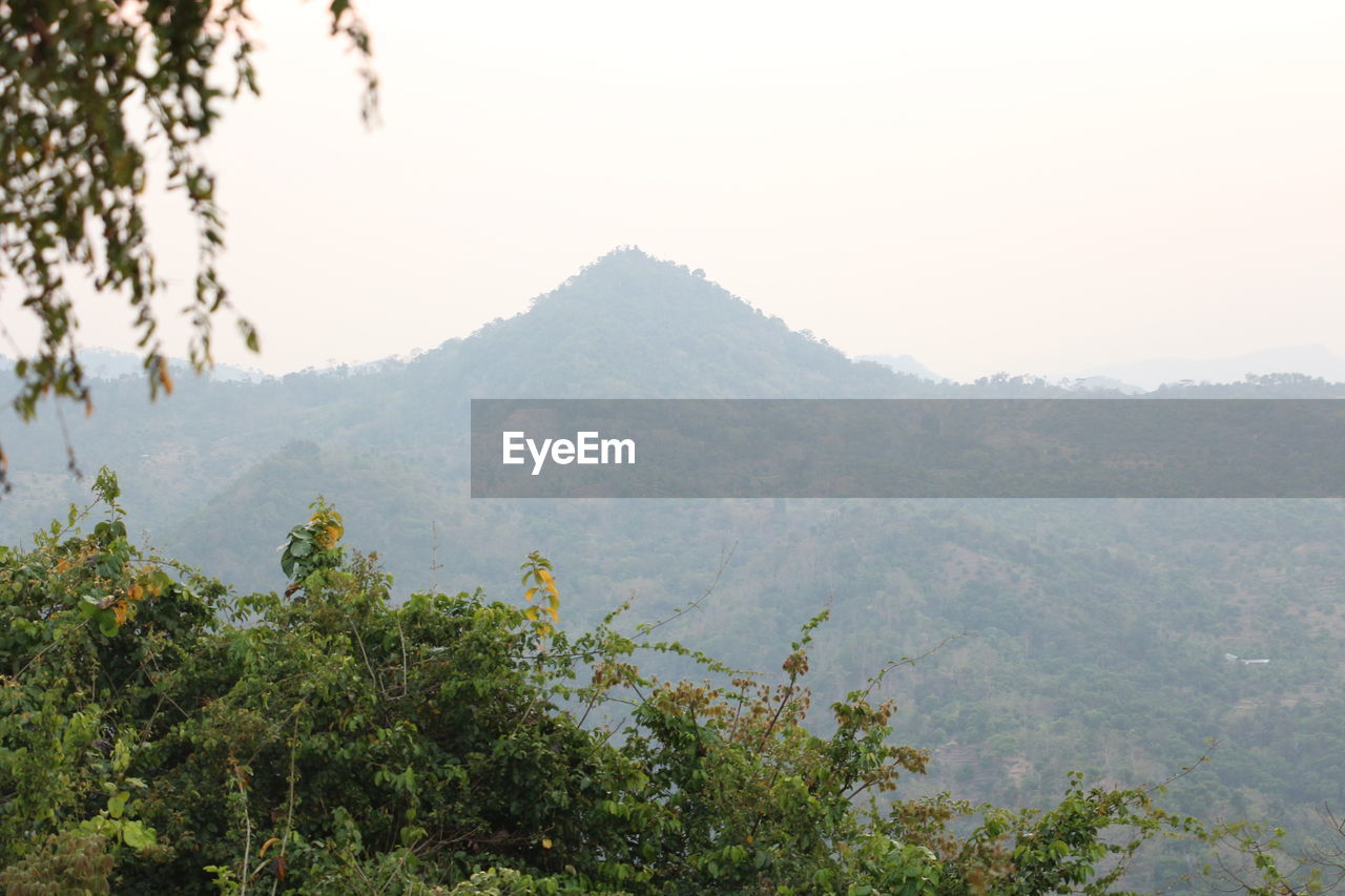 SCENIC VIEW OF TREE MOUNTAINS AGAINST SKY