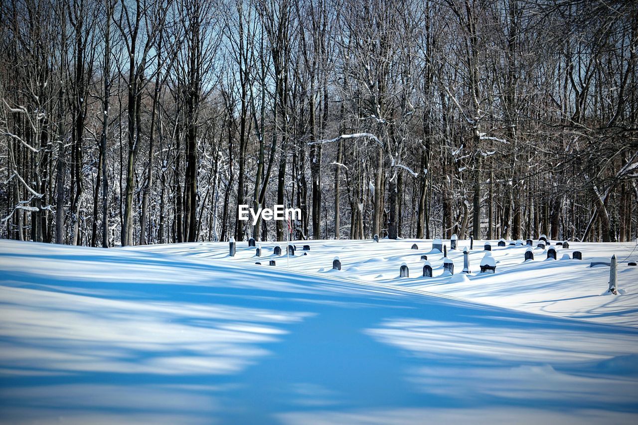 Snowcapped cemetery against bare trees