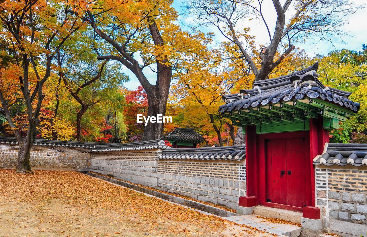 Entrance by trees during autumn