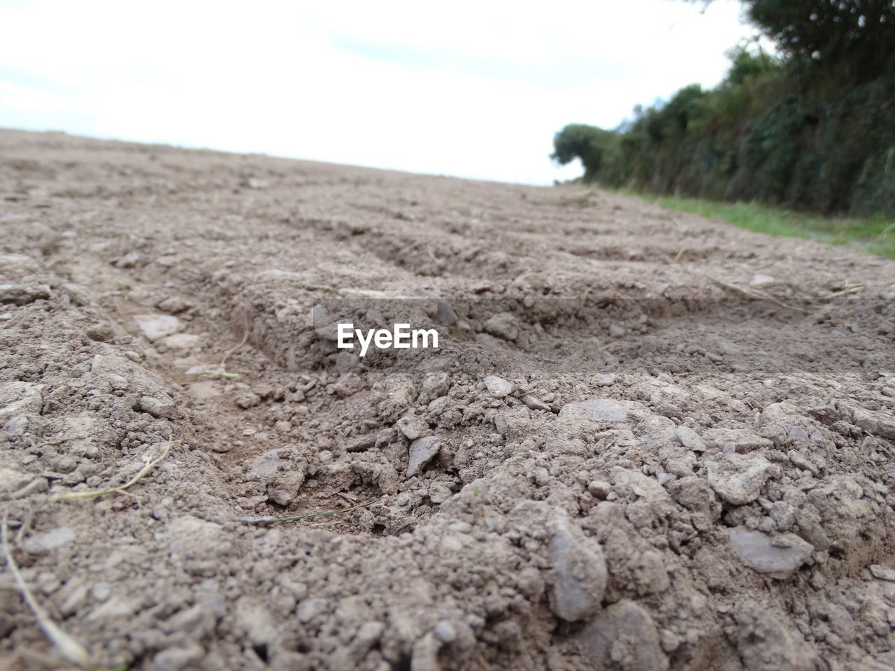 Dirt road passing through landscape