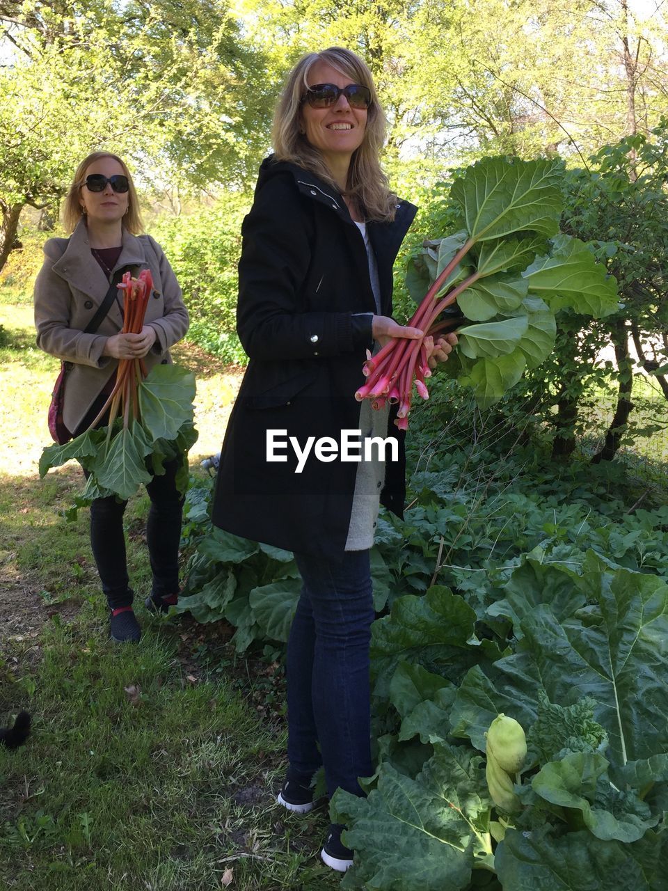 Portrait of smiling women with rhubarbs standing against plants