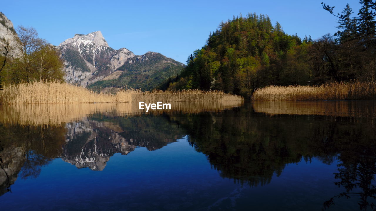 Scenic view of lake and mountains against clear blue sky in forest