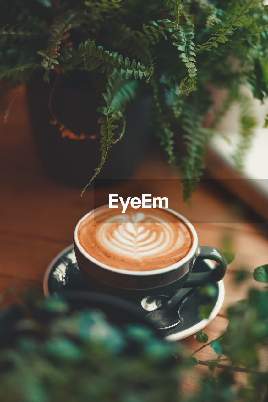 COFFEE CUP WITH CAPPUCCINO AND PLANTS