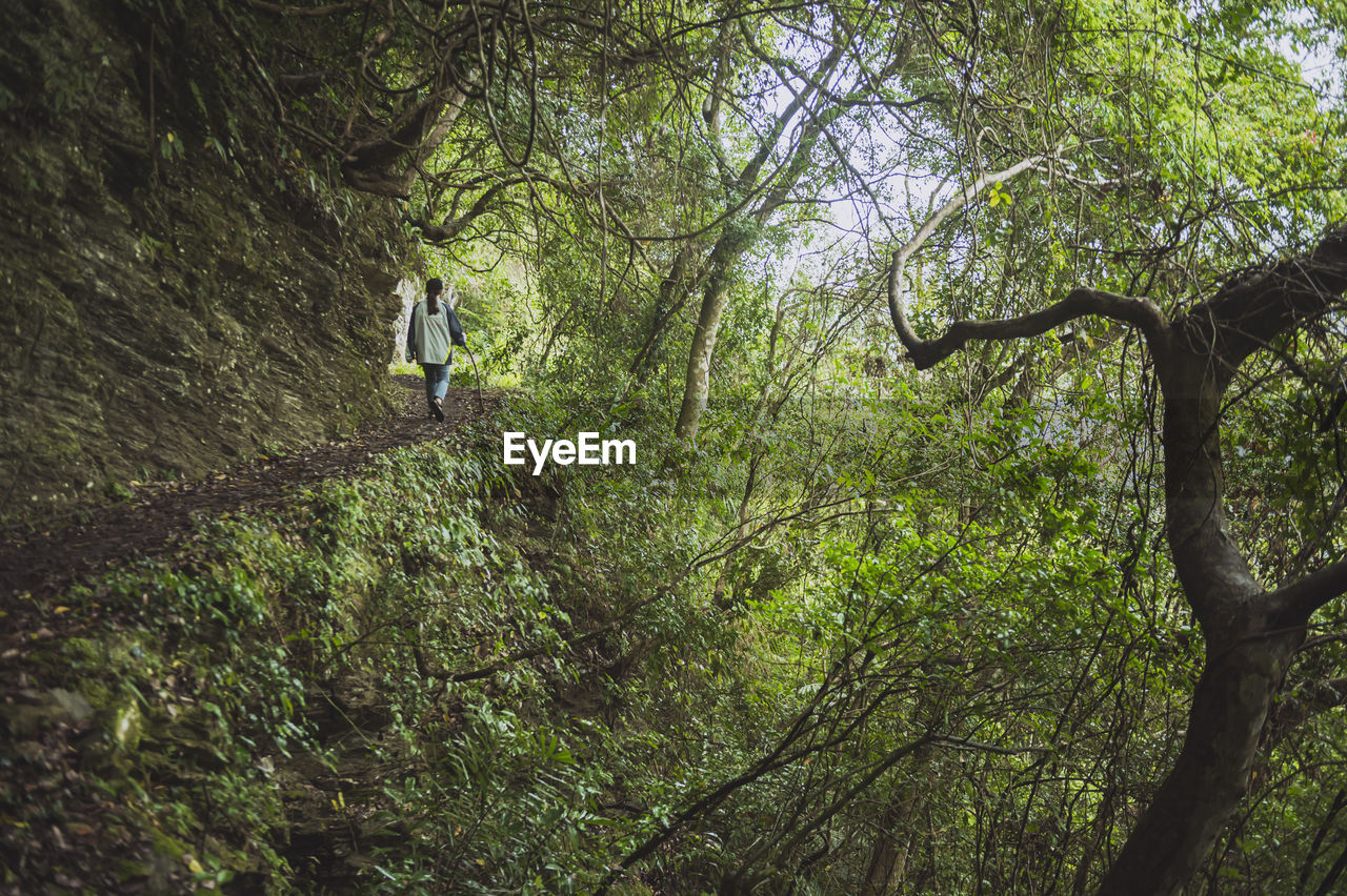 LOW ANGLE VIEW OF MAN WALKING ON TREE TRUNK