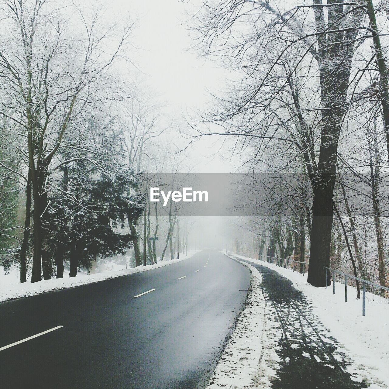 Empty country road along bare trees in winter