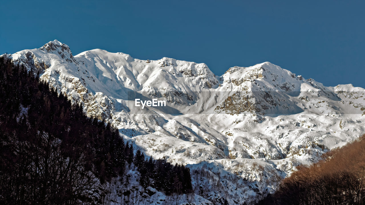 Bare trees on snow covered landscape