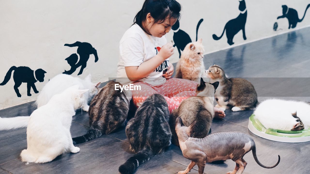 Girl sitting amidst cats on floor