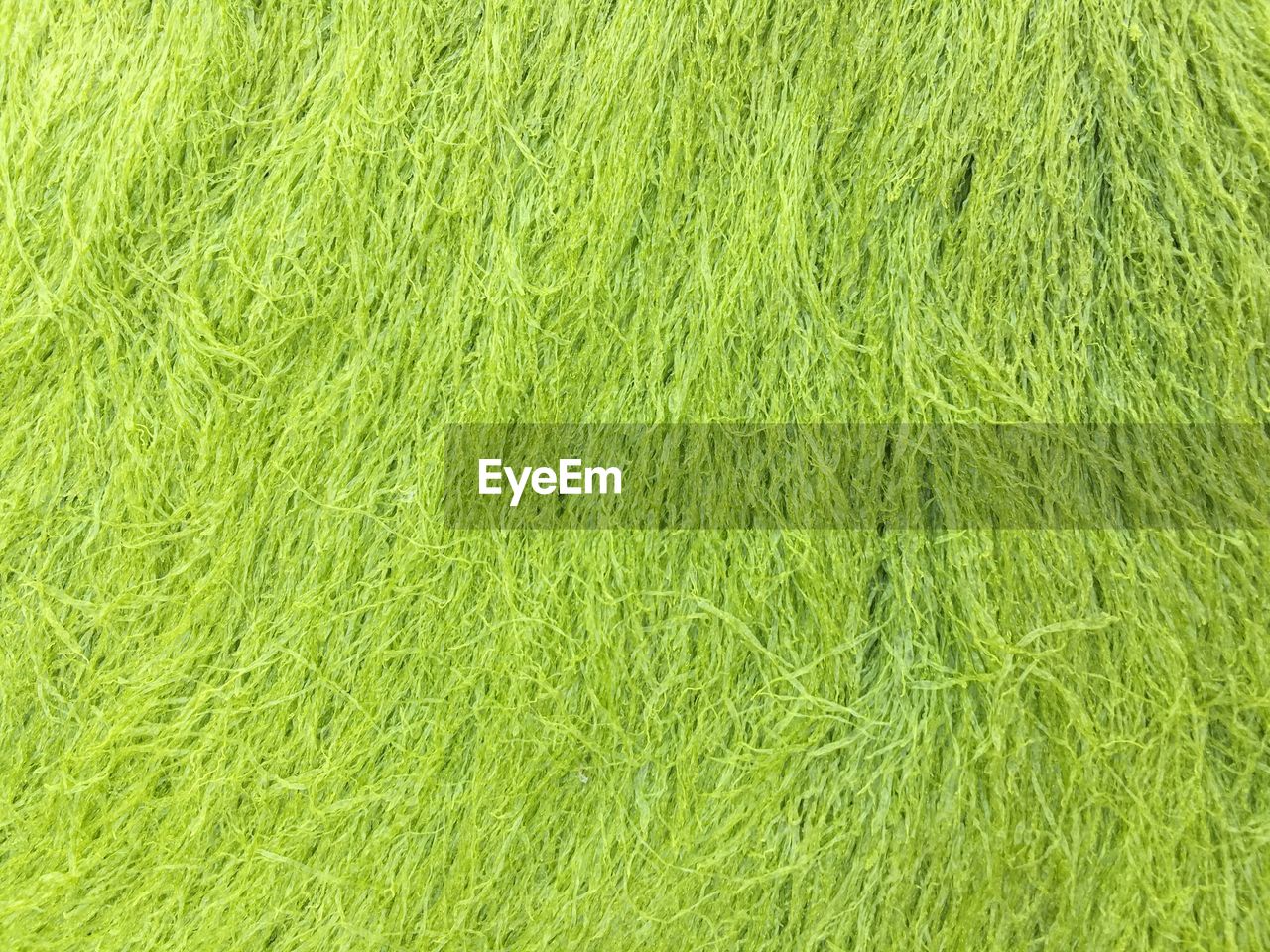 Full frame shot of green grassy field