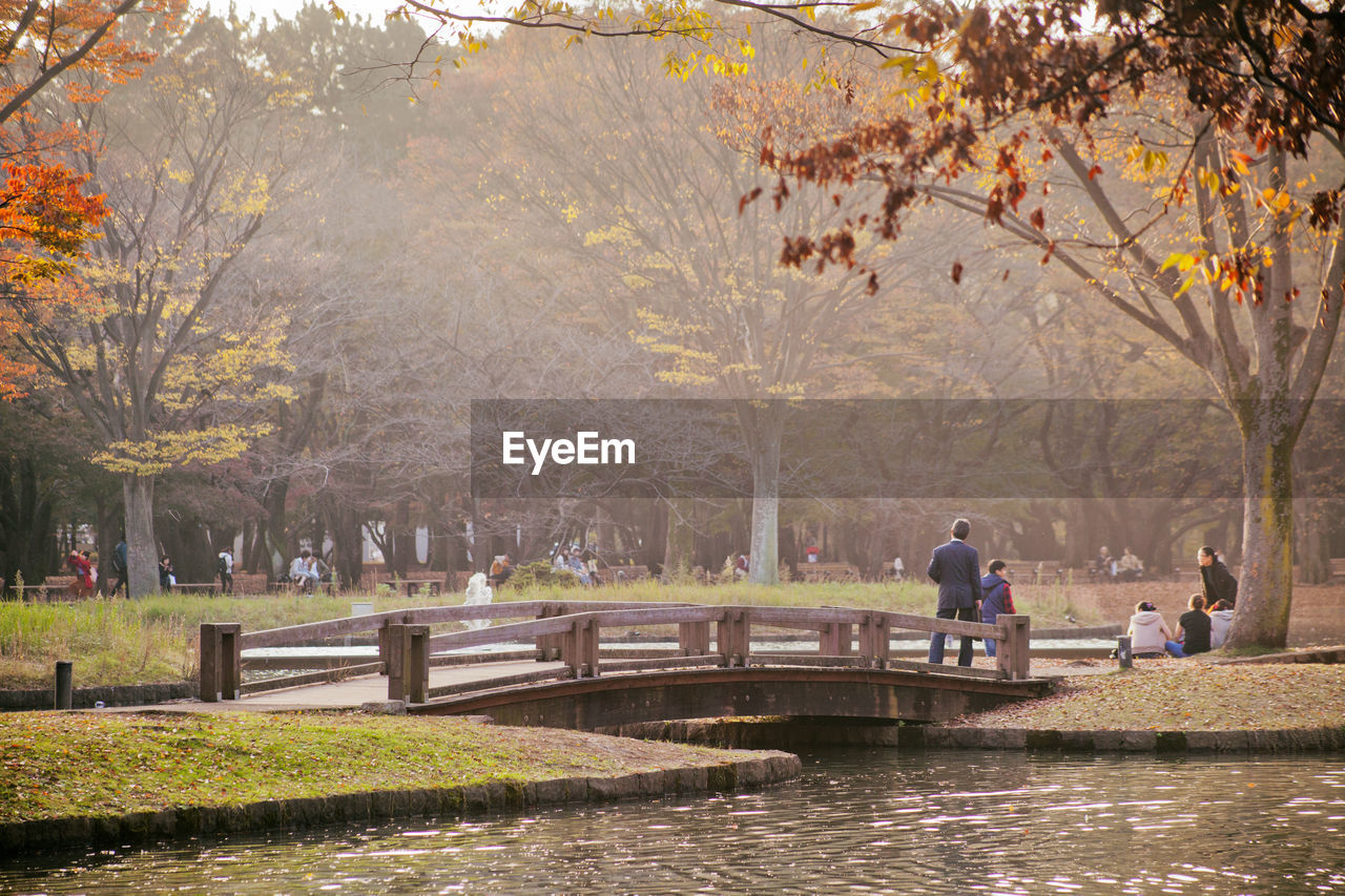 People at yoyogi park by pond during foggy weather