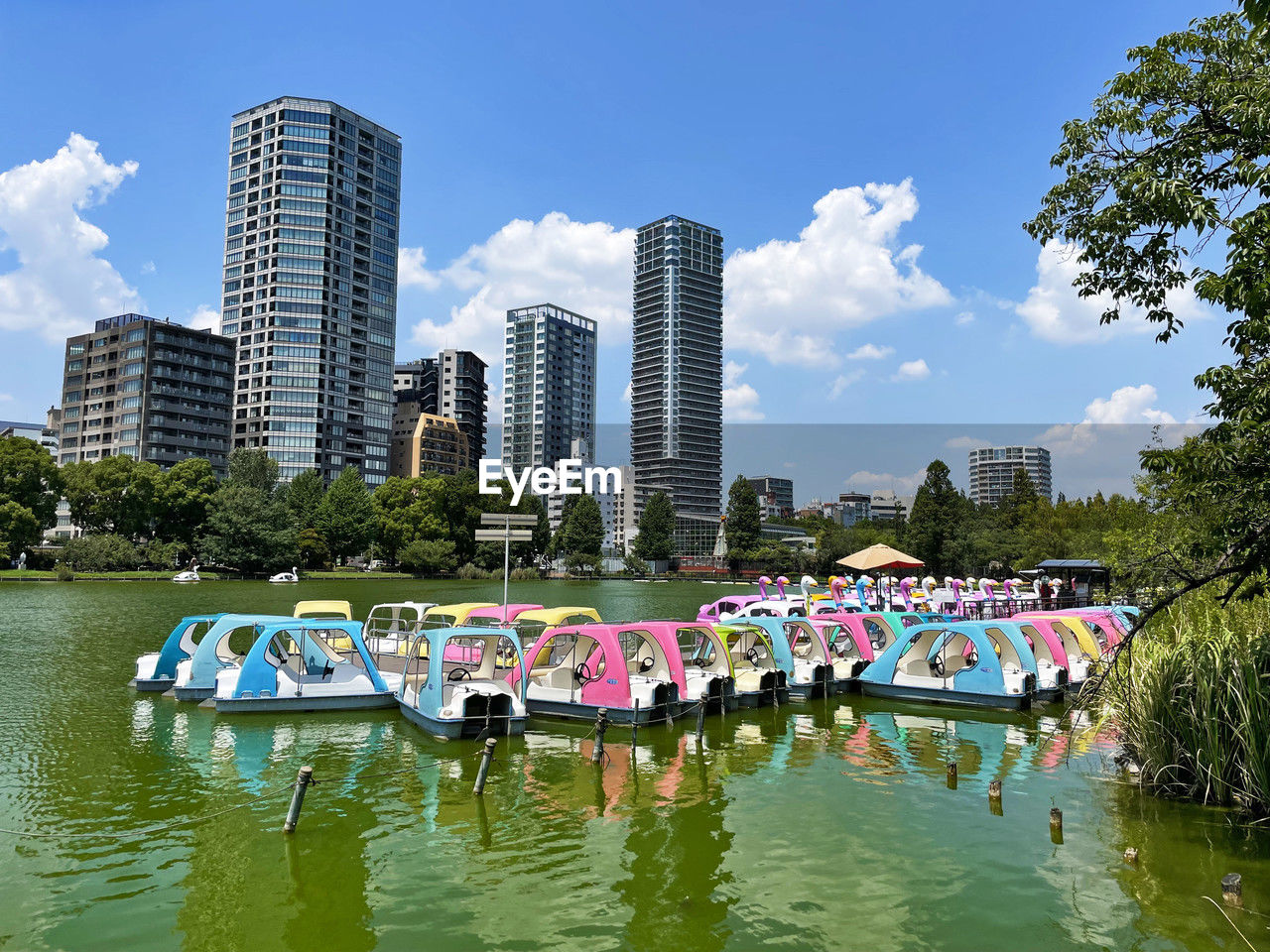 Tranquility in the metropolis ueno district lake and pedal boat, tokyo, japan