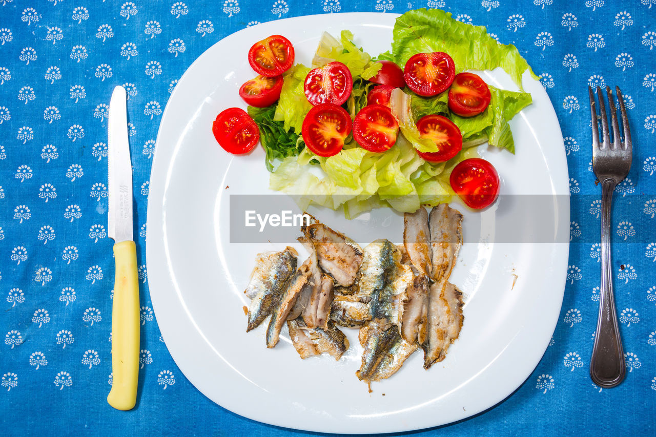 DIRECTLY ABOVE SHOT OF FOOD SERVED IN PLATE