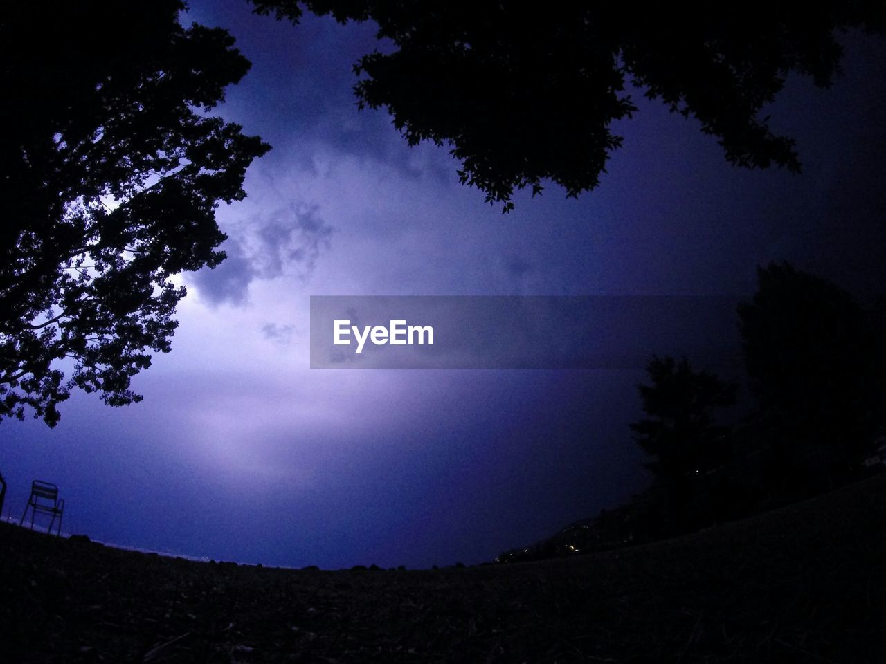 LOW ANGLE VIEW OF TREES AGAINST SKY