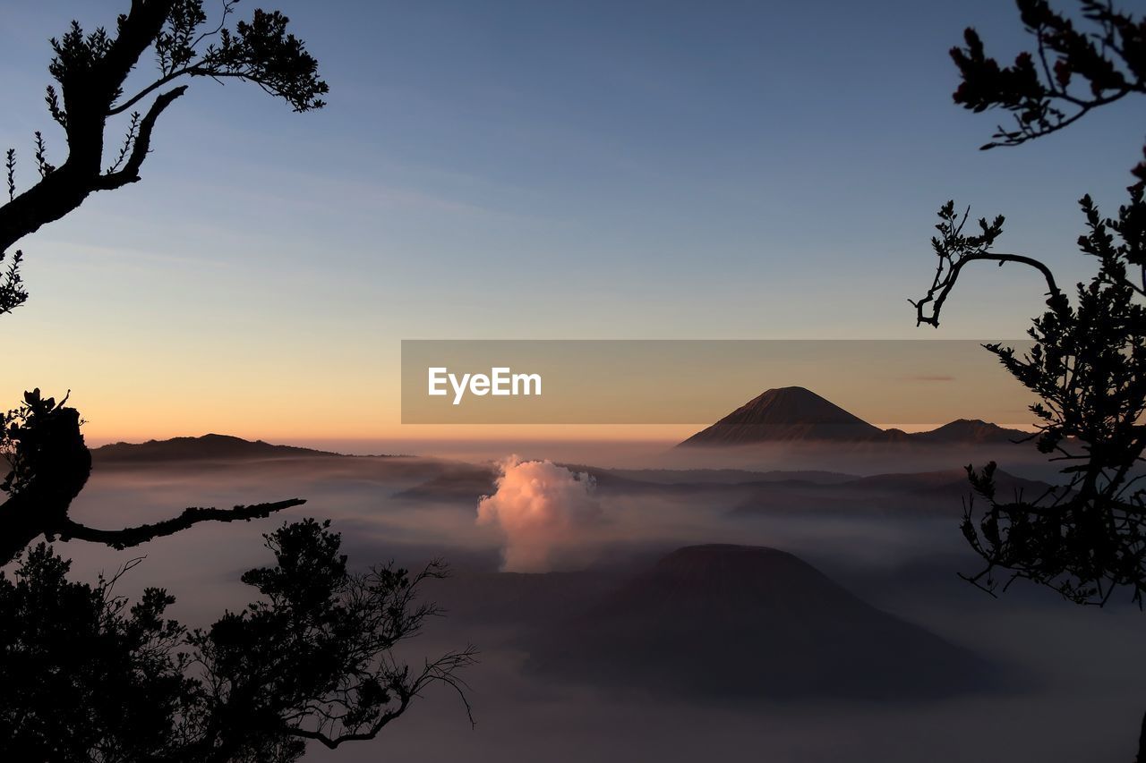 Scenic view of silhouette trees against sky during sunset