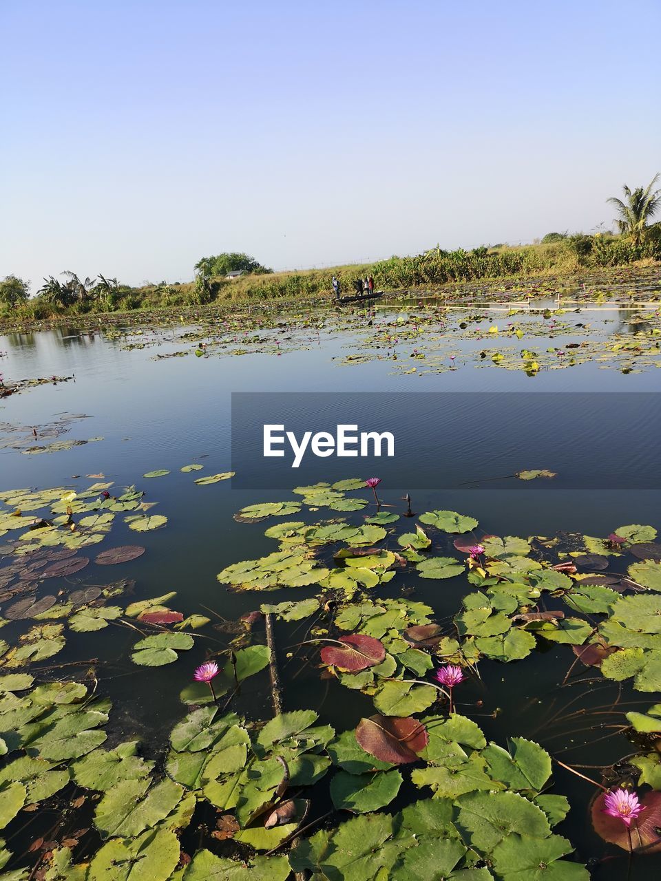 SCENIC VIEW OF LAKE