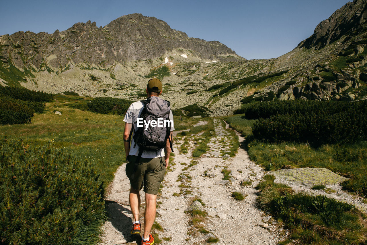 Rear view of man walking on mountain
