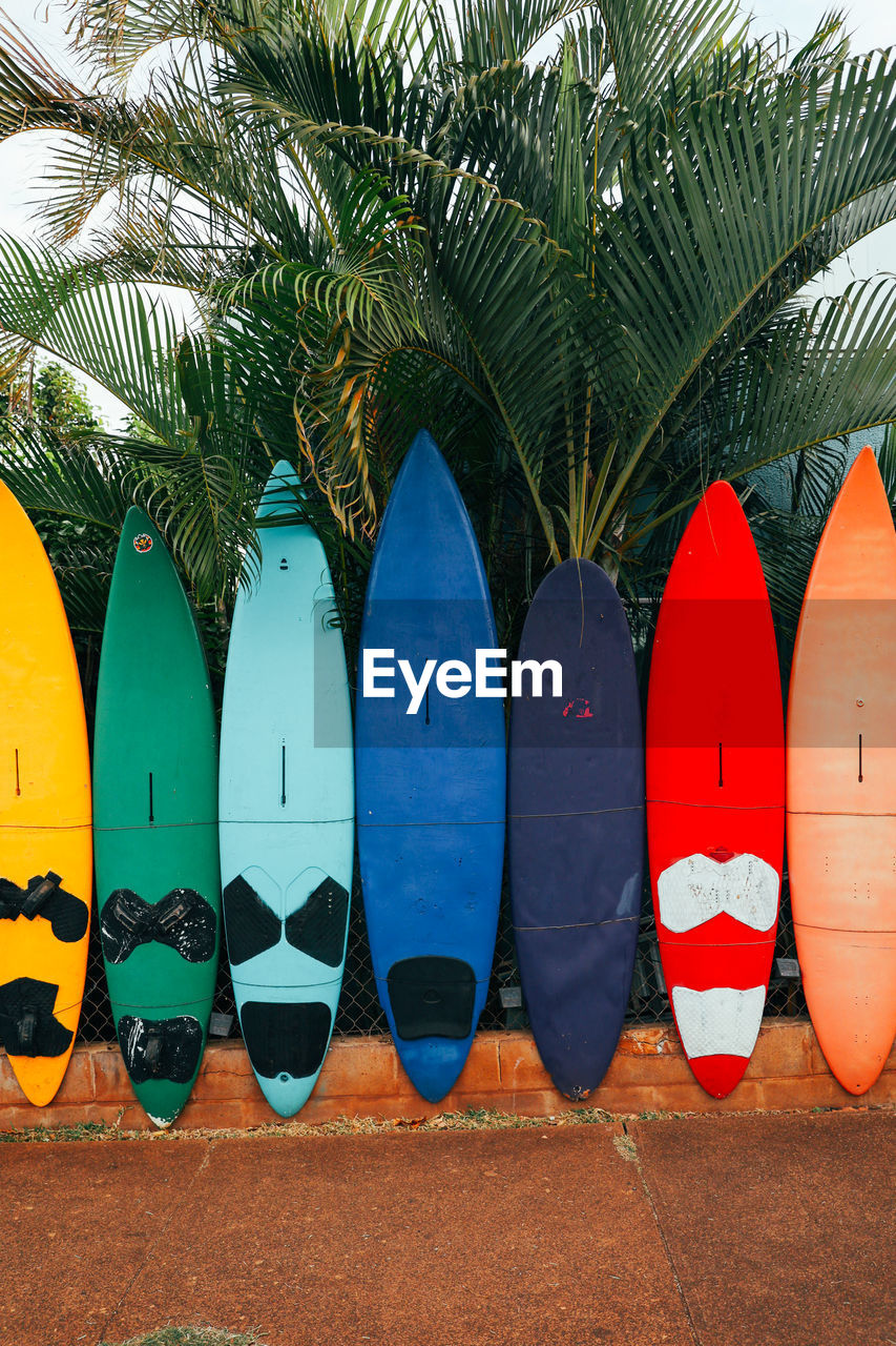 Multiple colorful surfboards line a fence with palm trees in the background in paia, maui, hawaii.