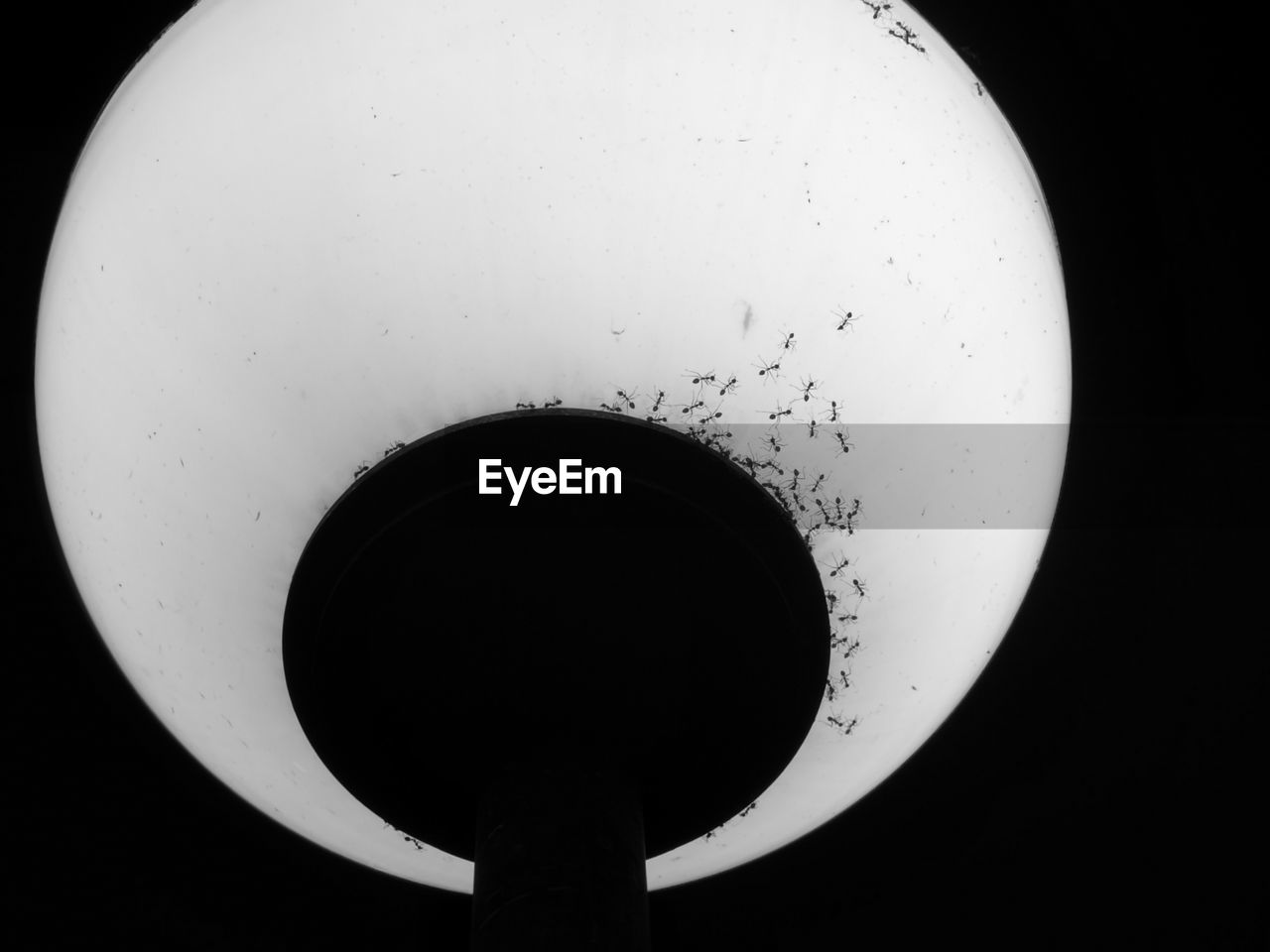 CLOSE UP OF ELECTRIC LAMP