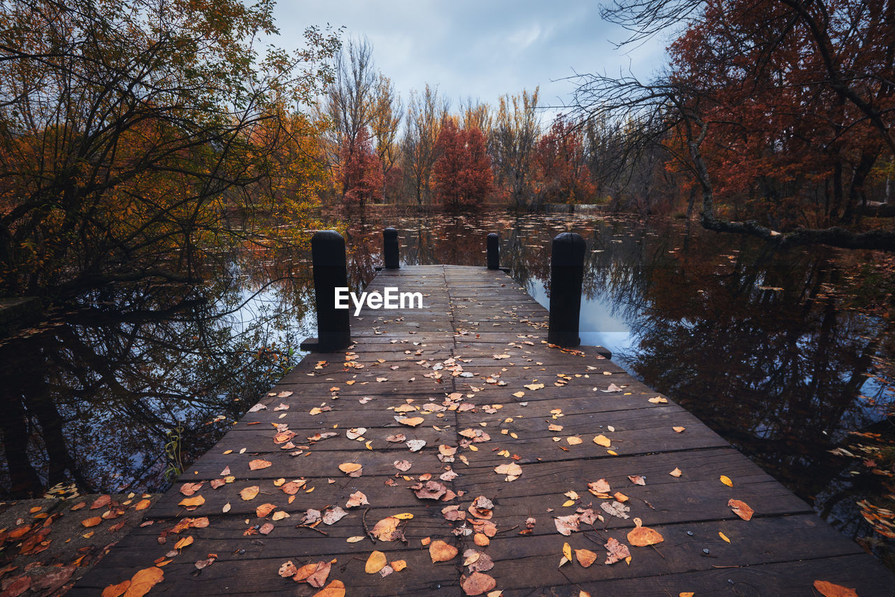 Horizontal view of a wooden dock covered  by fallen leaves surrounded by trees reflected on a lake