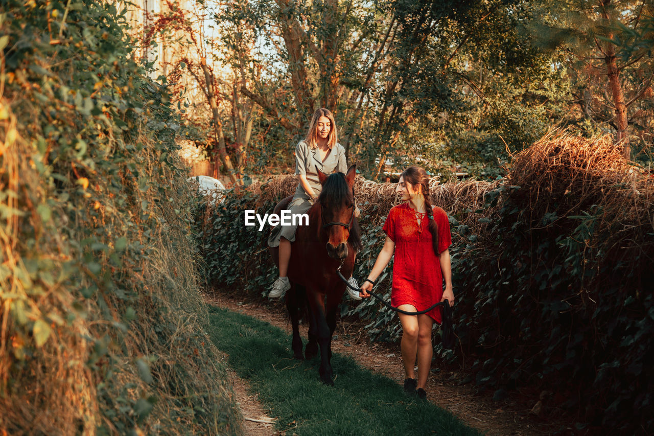 Young women sitting on horse with walking friend amidst trees