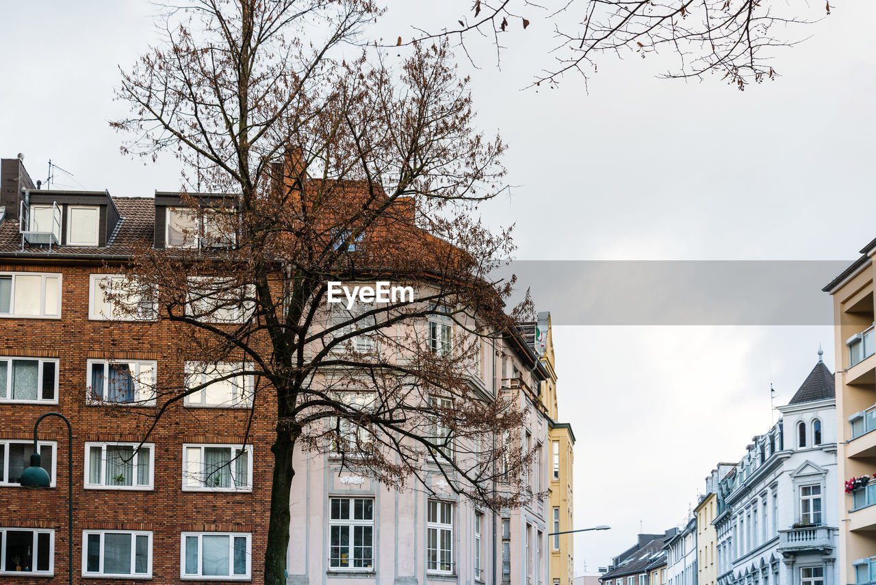 Low angle view of tree and building against sky