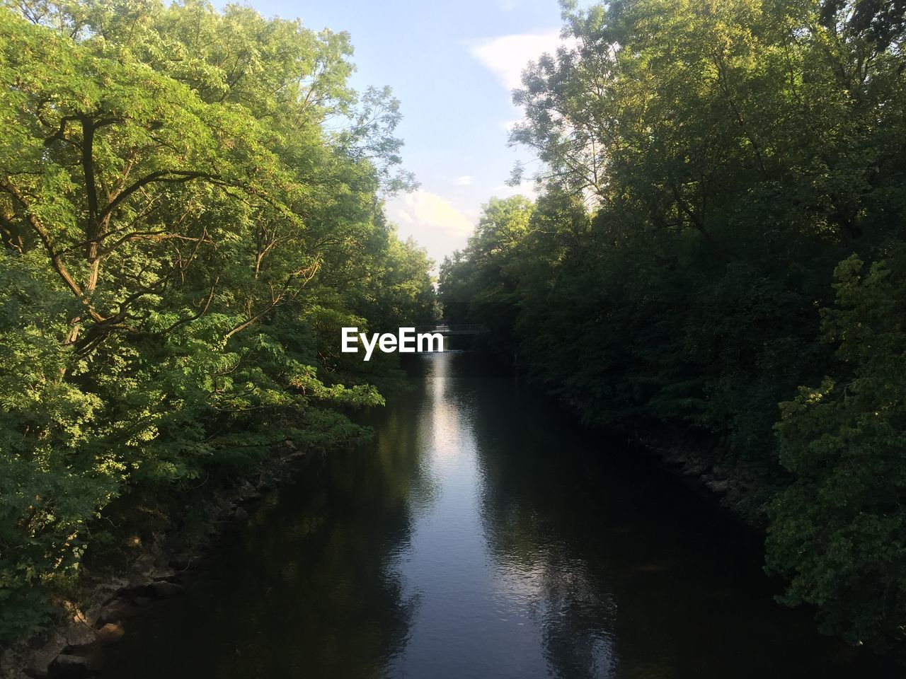 River amidst trees in forest against sky