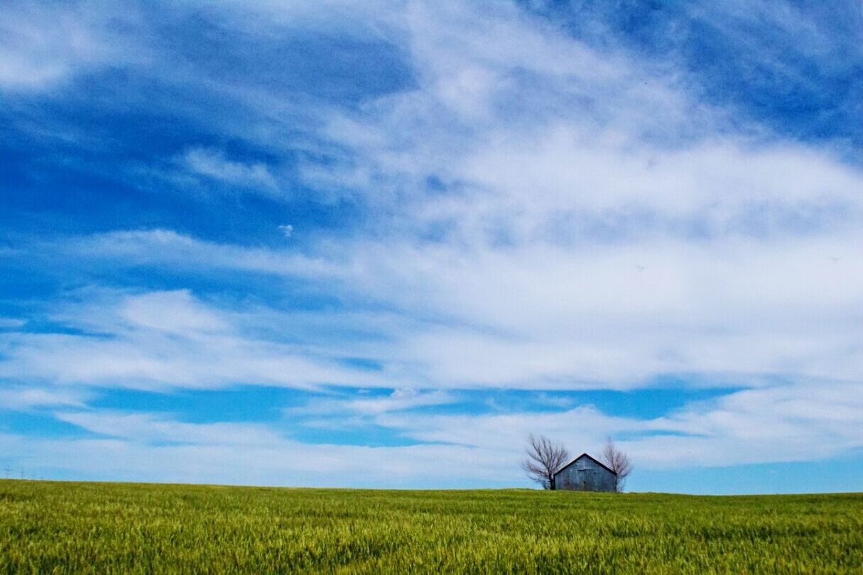 SCENIC VIEW OF FIELD AGAINST CLOUDY SKY