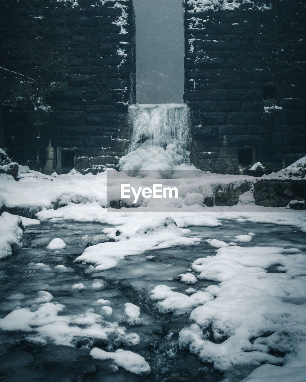 Scenic view of snow covered tree during winter