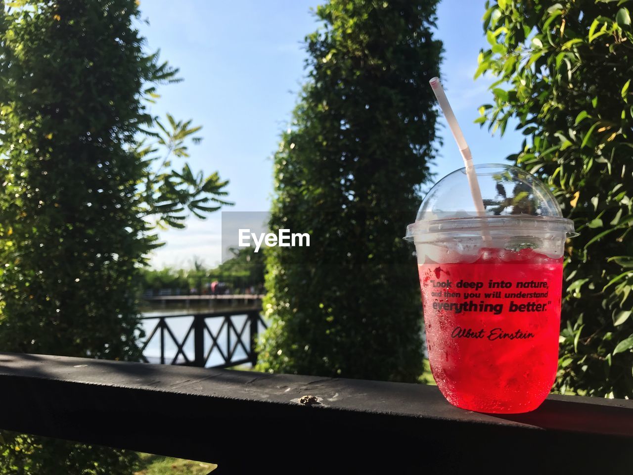 CLOSE-UP OF DRINK AGAINST TREES