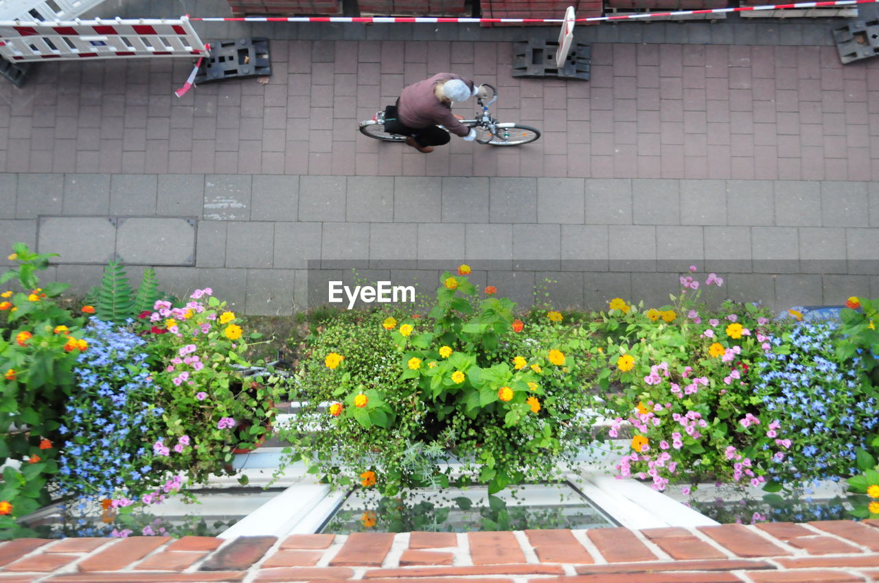 MAN WITH FLOWERS IN FOREGROUND