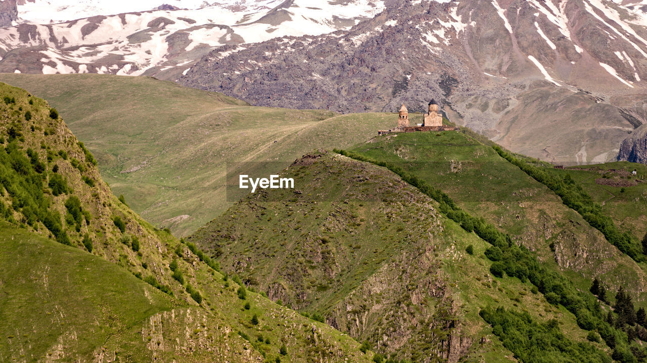 High angle view of trees on mountain