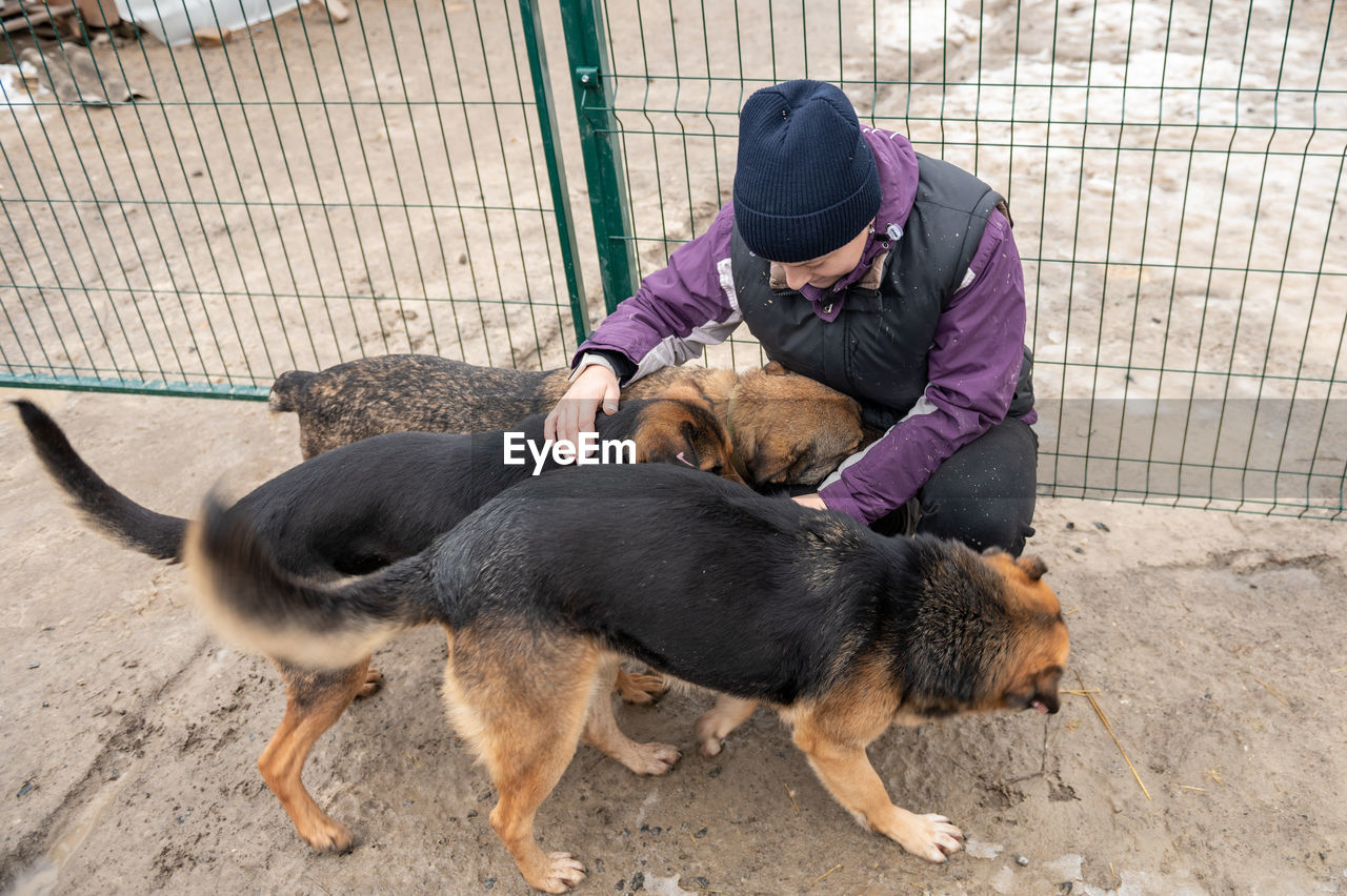 Girl volunteer in the nursery for dogs. shelter for stray dogs.