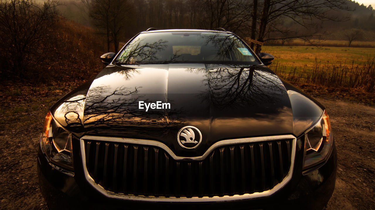 CAR PARKED ON BARE TREES