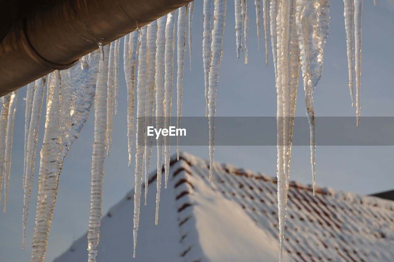 Close-up of icicles against sky during winter