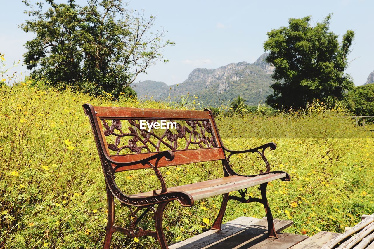 EMPTY BENCH IN FIELD