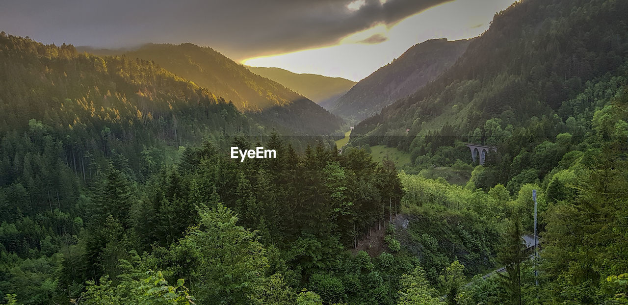 Panoramic view of trees and mountains against sky