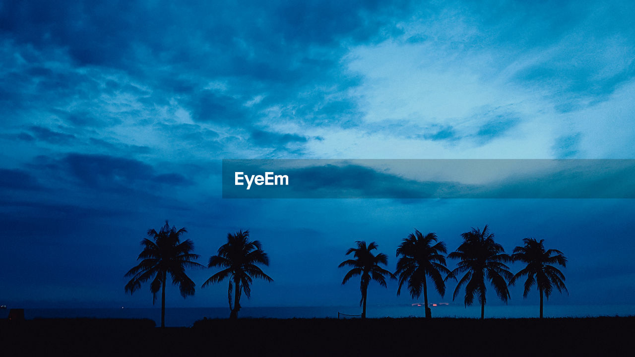 Silhouette palm trees on beach against sky at sunset