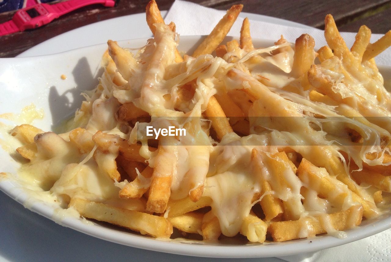 Close-up of cheese and french fries in plate