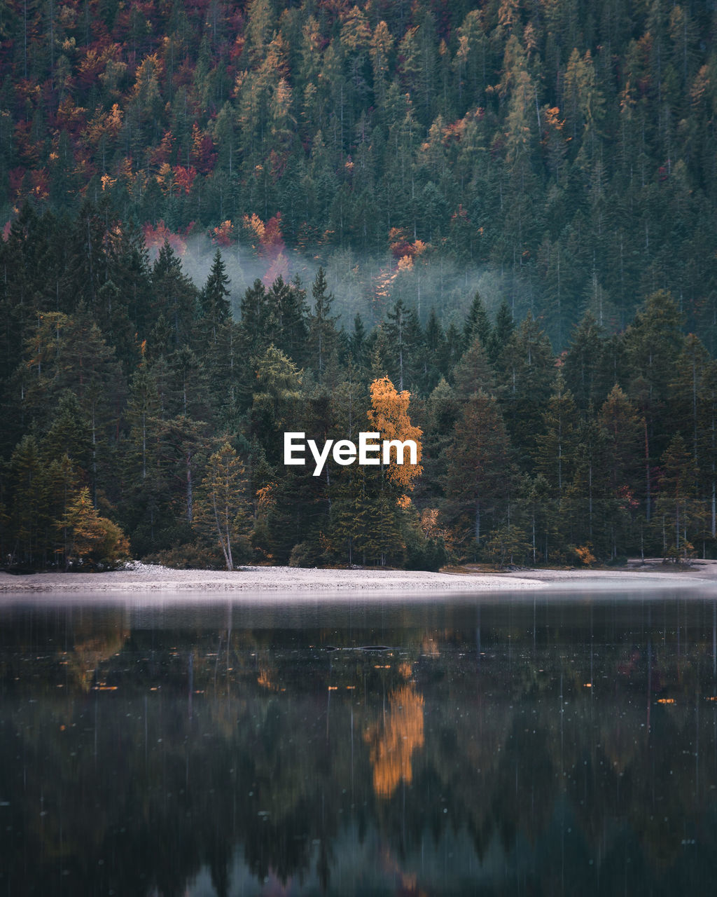 Reflection of trees in lake during autumn