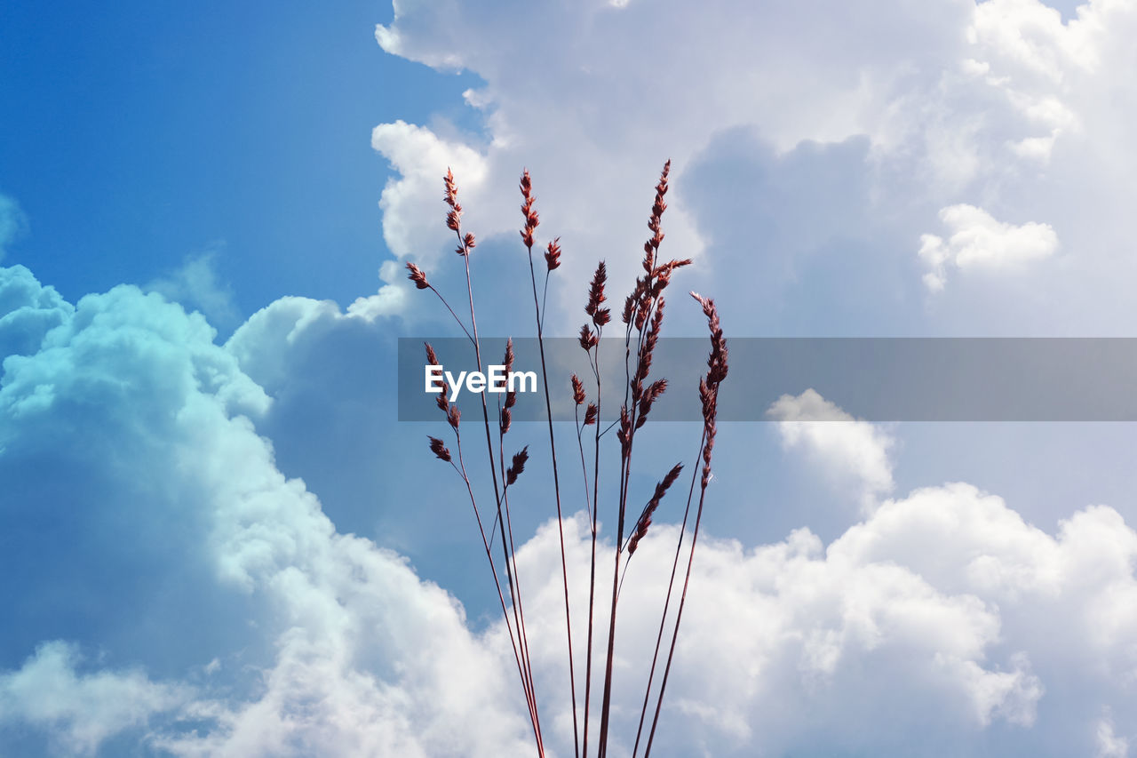 low angle view of clouds in sky