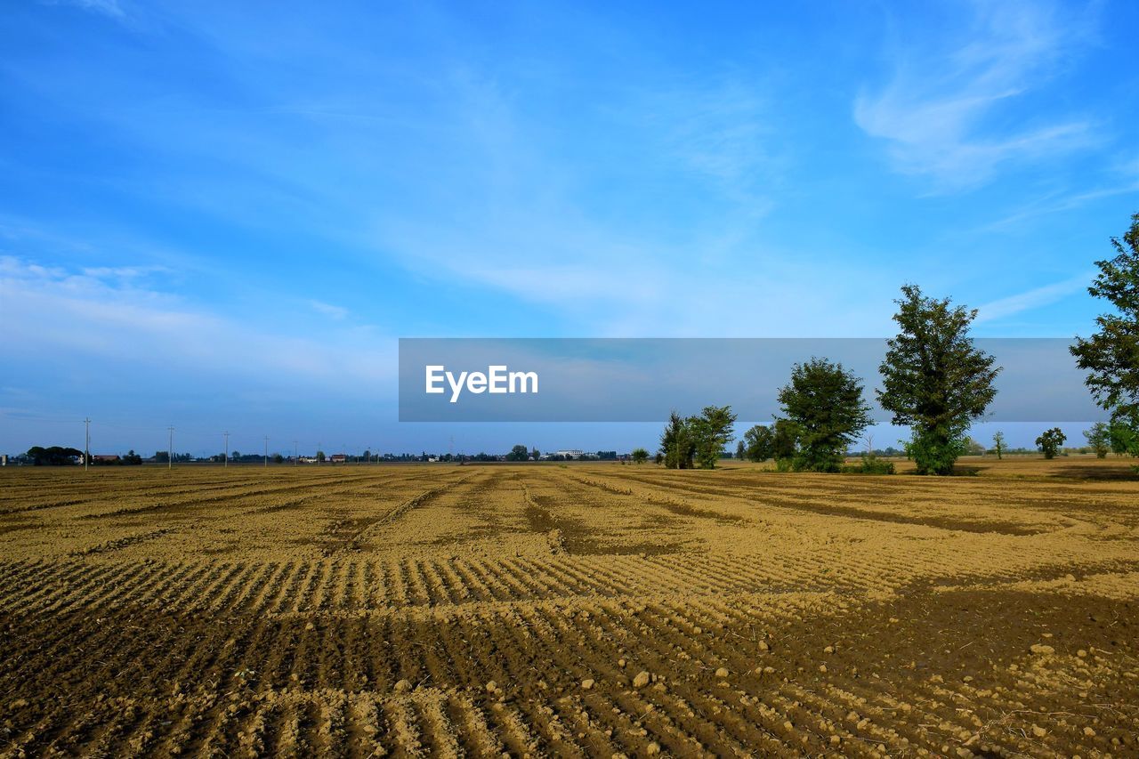 SCENIC VIEW OF FARM AGAINST SKY