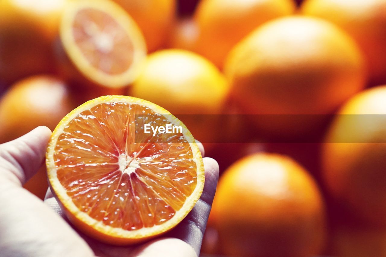 CLOSE-UP OF HAND HOLDING FRUIT