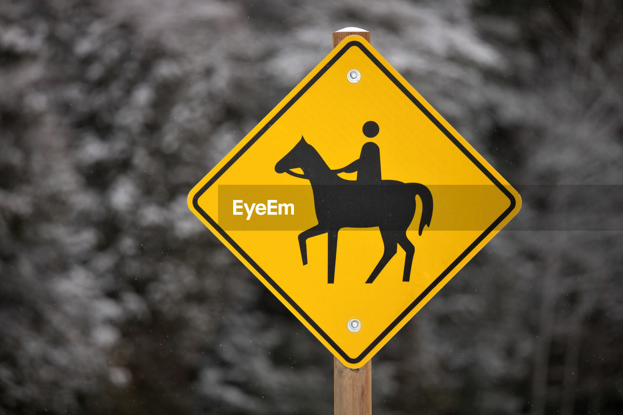 sign, yellow, communication, road, warning sign, traffic sign, road sign, symbol, no people, guidance, mammal, representation, shape, transportation, street sign, animal, nature, diamond shaped, focus on foreground, number, outdoors, close-up, warning symbol, animal themes, signage