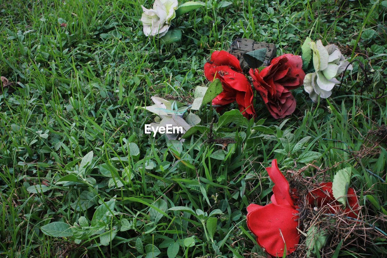 Artificial flowers on ground