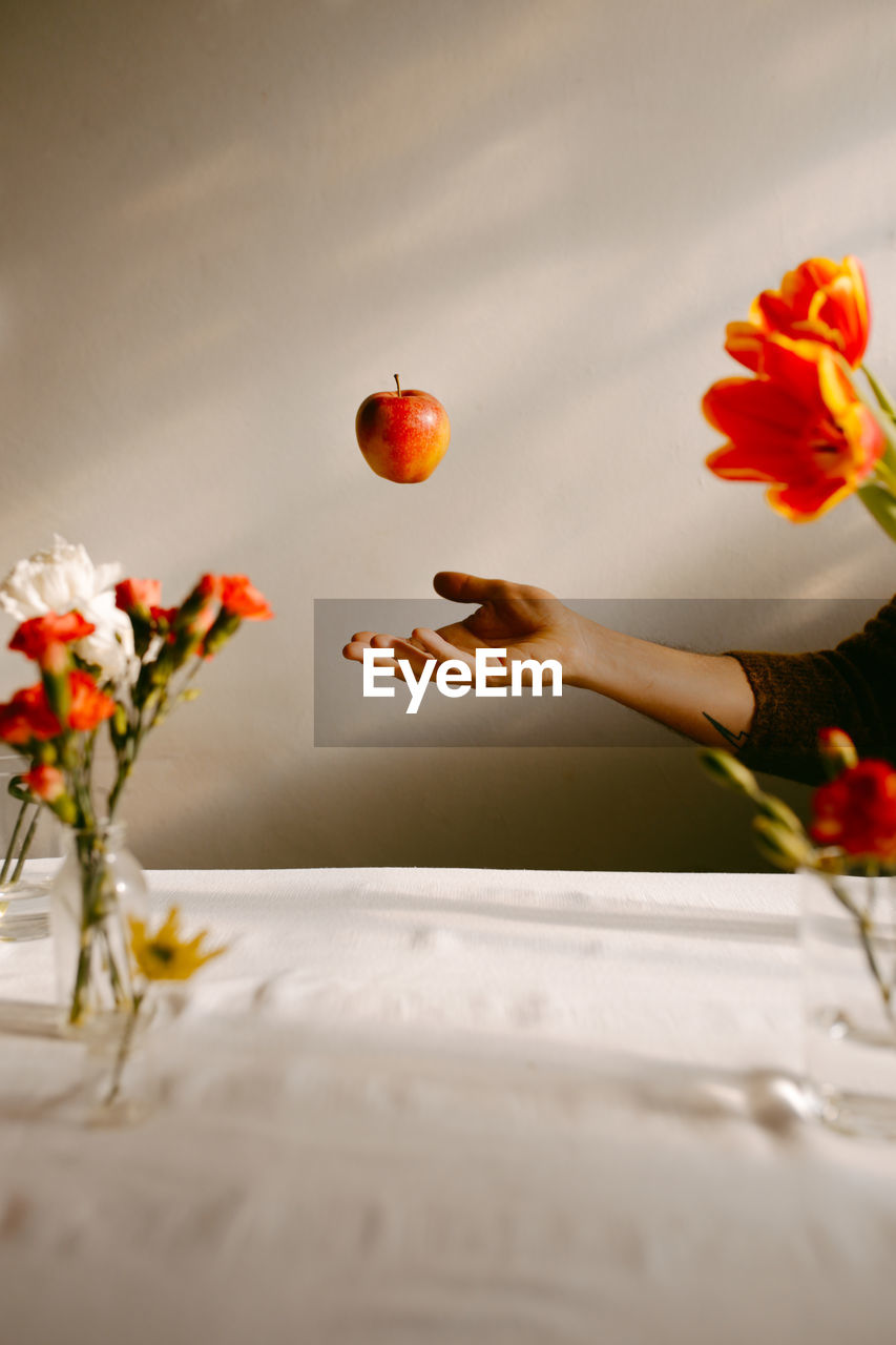 Crop anonymous person tossing ripe apple in air above table with tulips and fresh carnations person