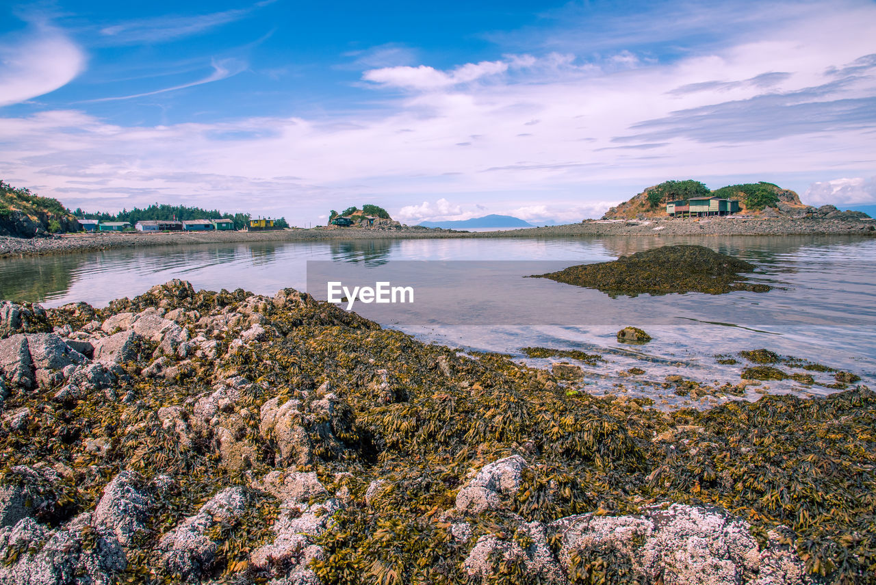 View of shack island from pipers lagoon park, nanaimo