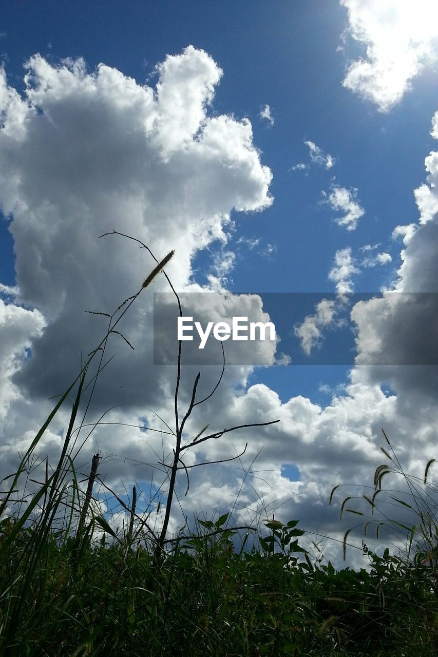 Scenic view of field against cloudy sky