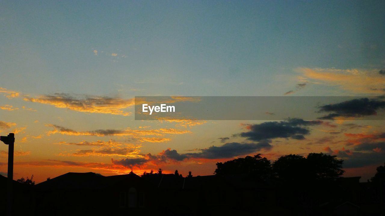 LOW ANGLE VIEW OF SILHOUETTE TREES AGAINST SKY AT SUNSET