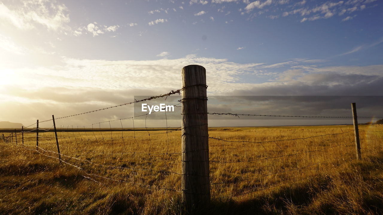 FIELD AGAINST SKY