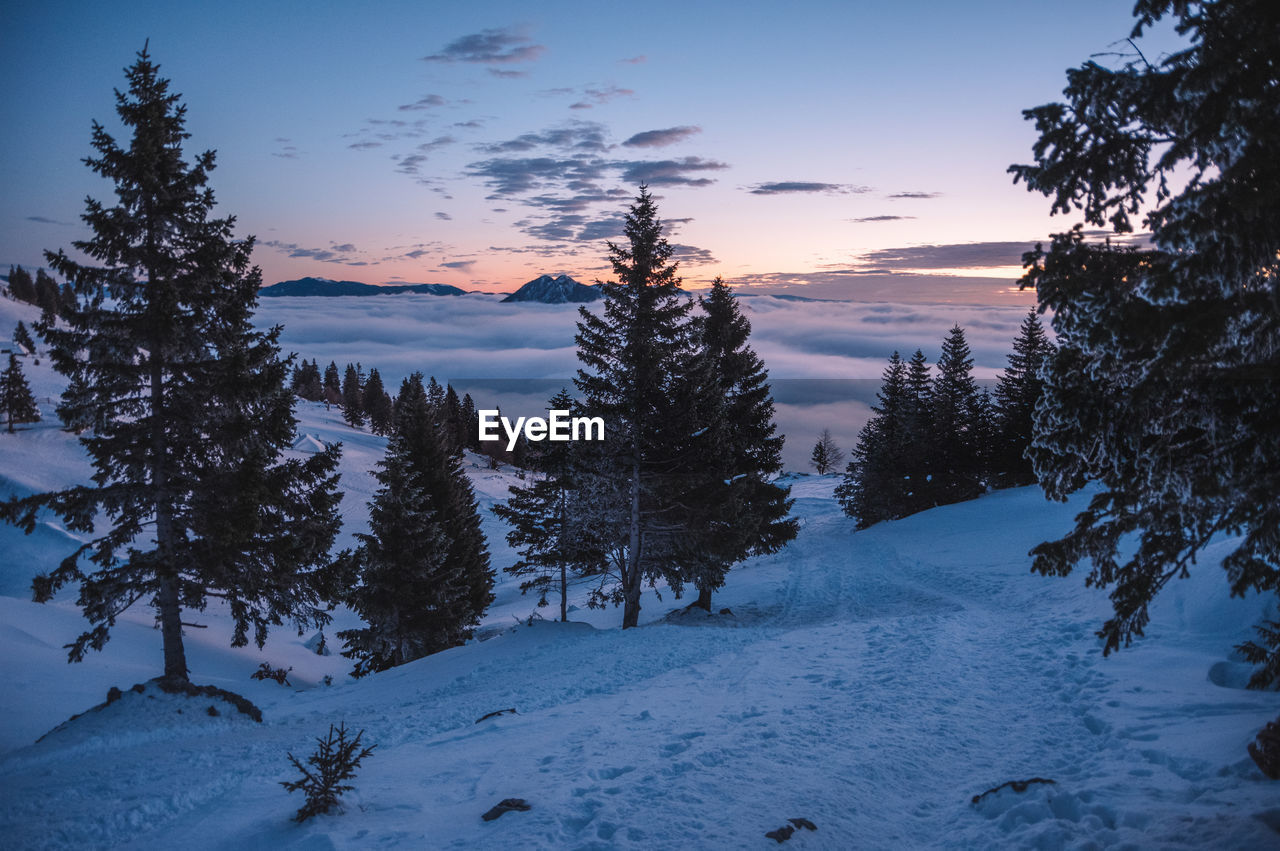 Blue hour winter landscape on velika planina